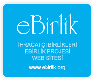 eBirlik